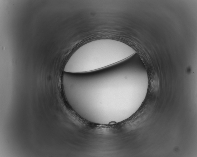 X0000100410620200806060926