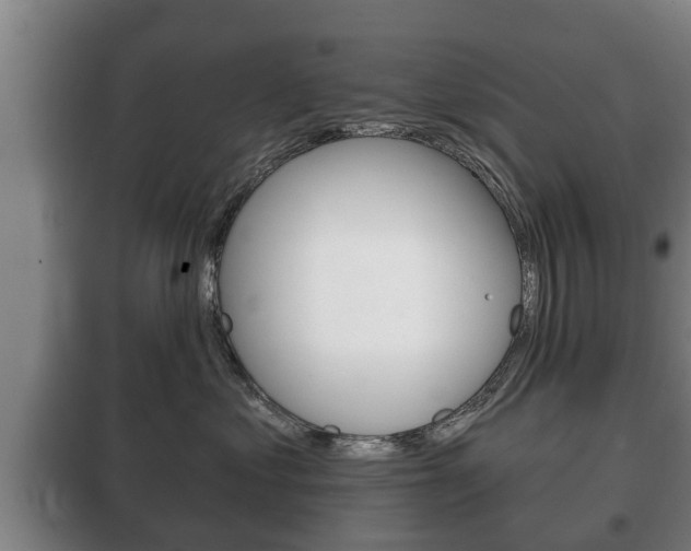 X0000100410621200806060926