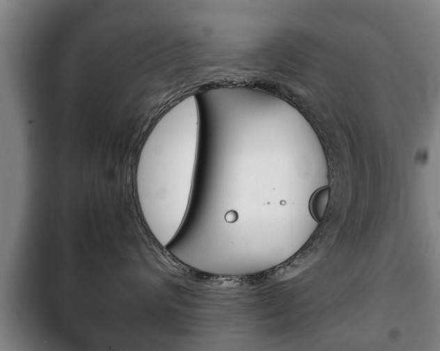 X0000100410624200806060926