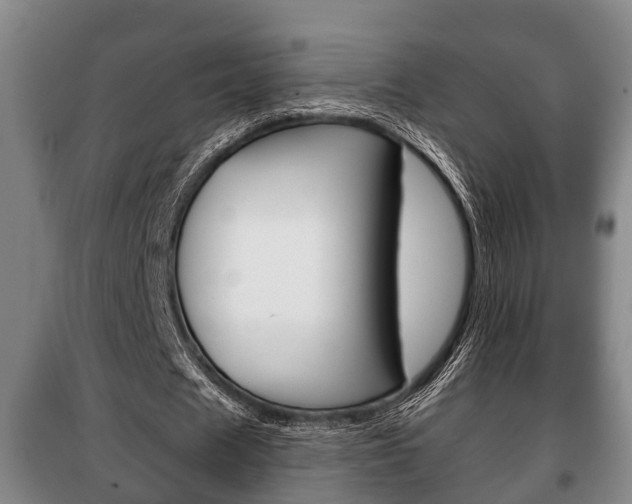 X0000100410625200806060926