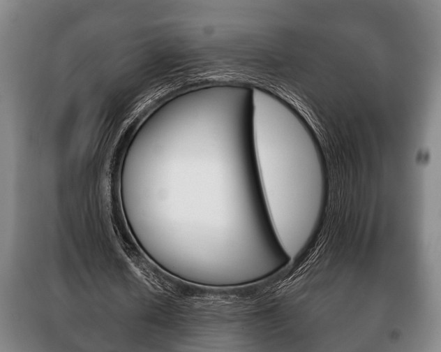 X0000100410626200806060926