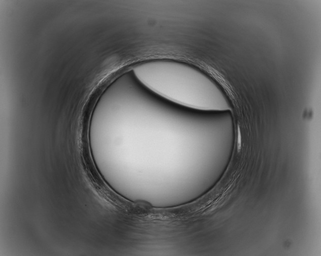 X0000100410627200806060926