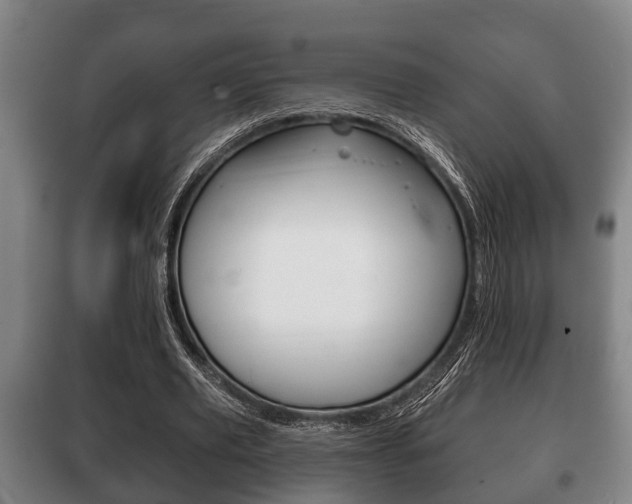 X0000100410629200806060926