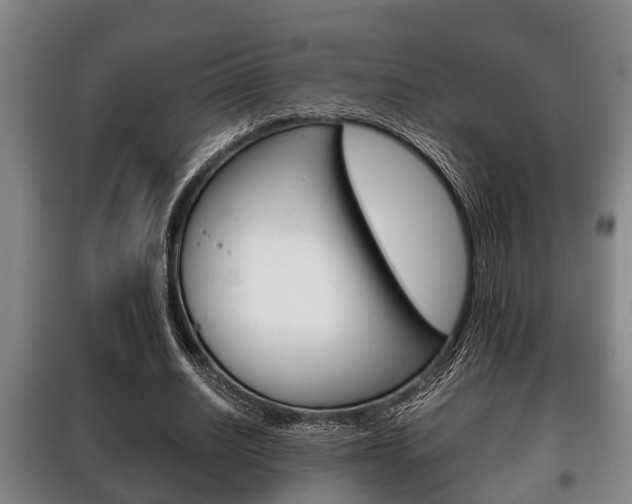 X0000100410630200806060926