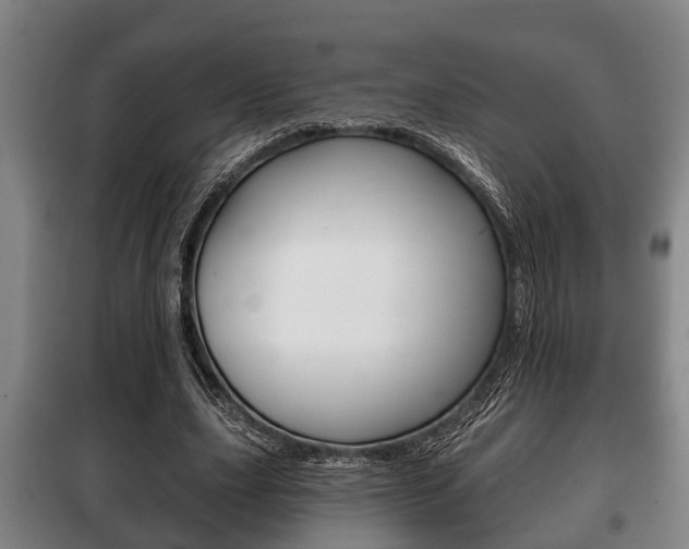 X0000100410631200806060926