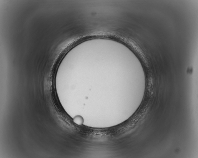 X0000100410632200806060926