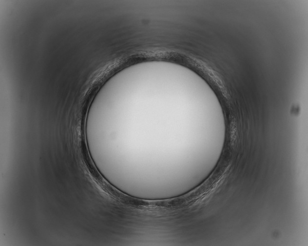 X0000100410633200806060926