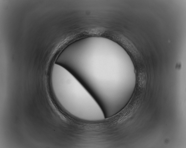 X0000100410634200806060926