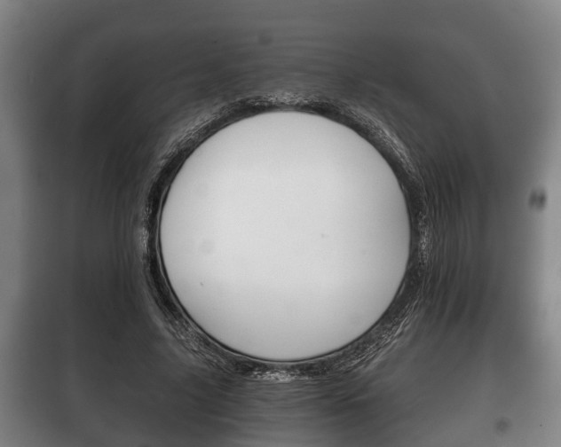 X0000100410635200806060926