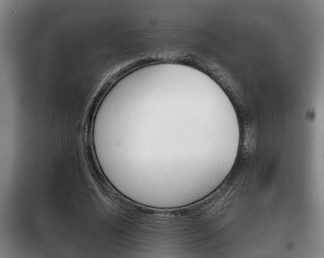 X0000100410636200806060926