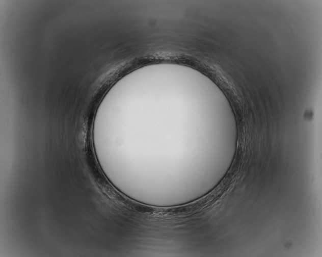 X0000100410640200806060926