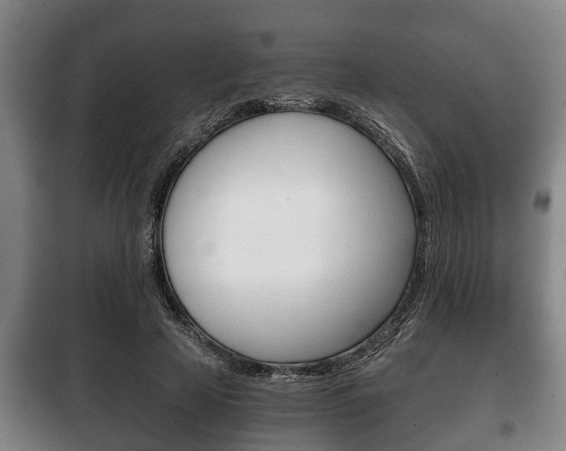 X0000100410641200806060926