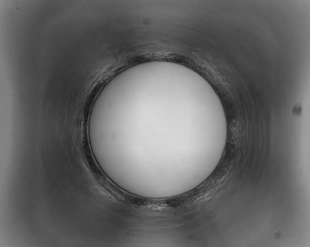 X0000100410642200806060926