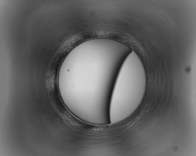 X0000100410644200806060926