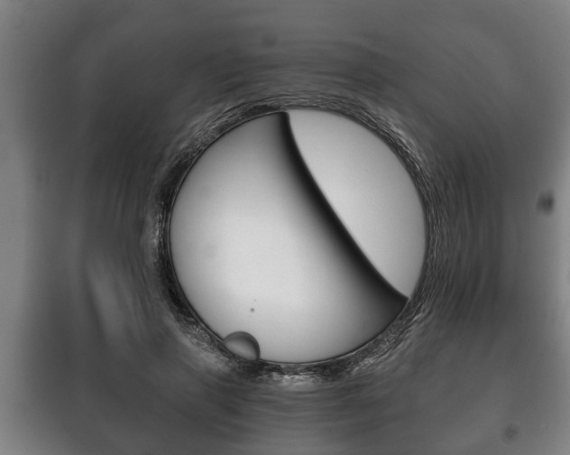 X0000100410645200806060926