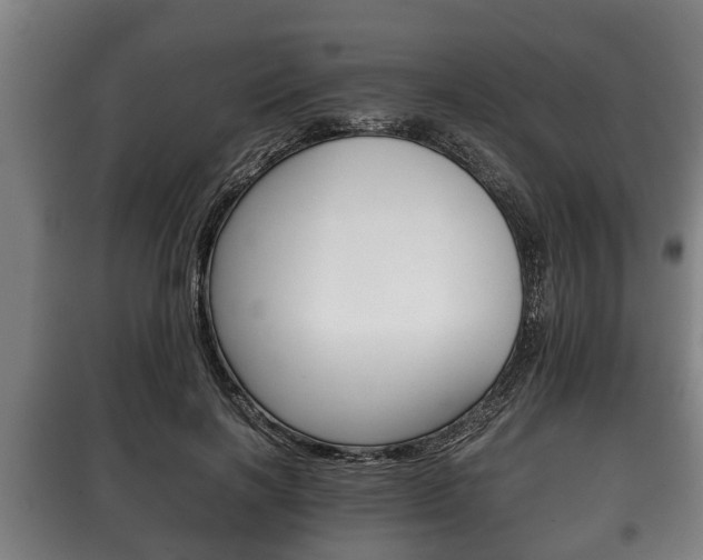 X0000100410646200806060926