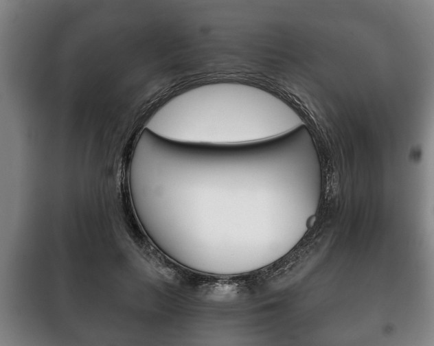 X0000100410647200806060926