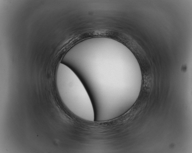 X0000100410648200806060926