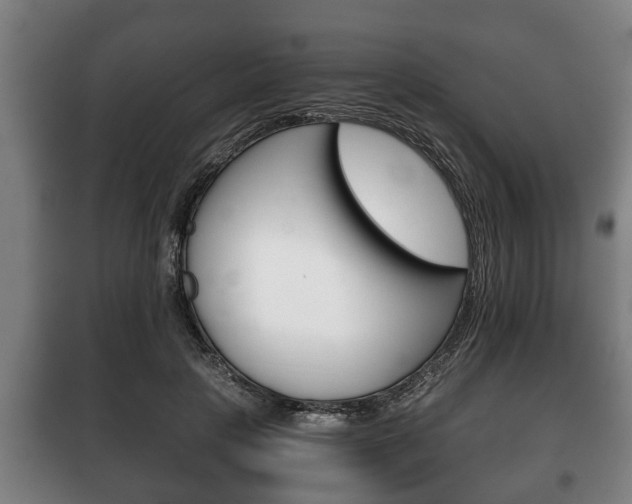 X0000100410649200806060926
