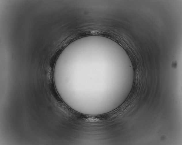 X0000100410650200806060926