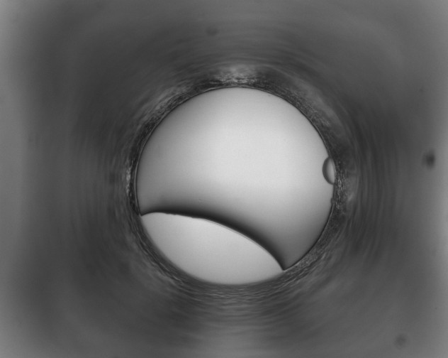 X0000100410652200806060926