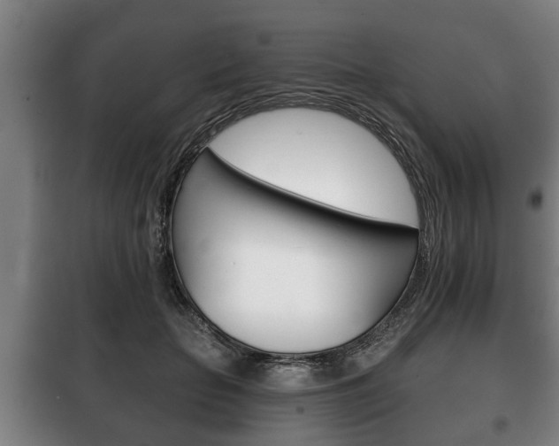 X0000100410653200806060926