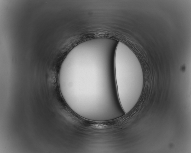 X0000100410654200806060926