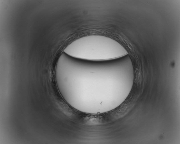 X0000100410655200806060926