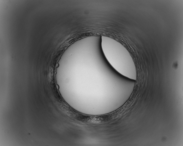 X0000100410656200806060926
