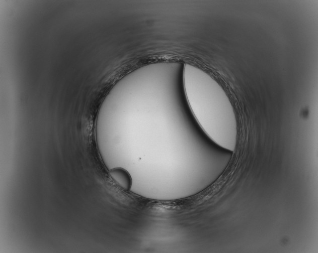 X0000100410657200806060926