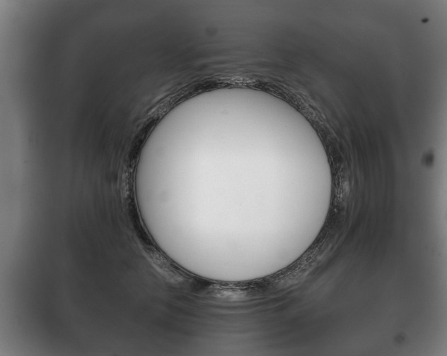 X0000100410658200806060926