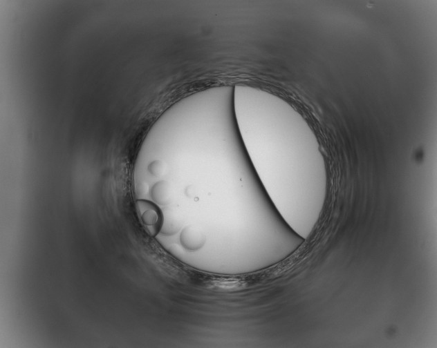X0000100410659200806060926
