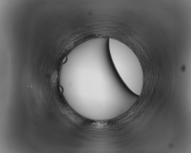 X0000100410660200806060926