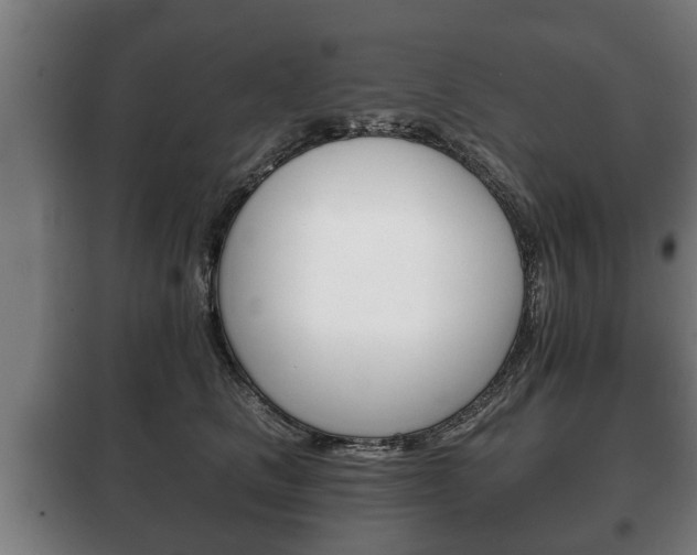 X0000100410661200806060926