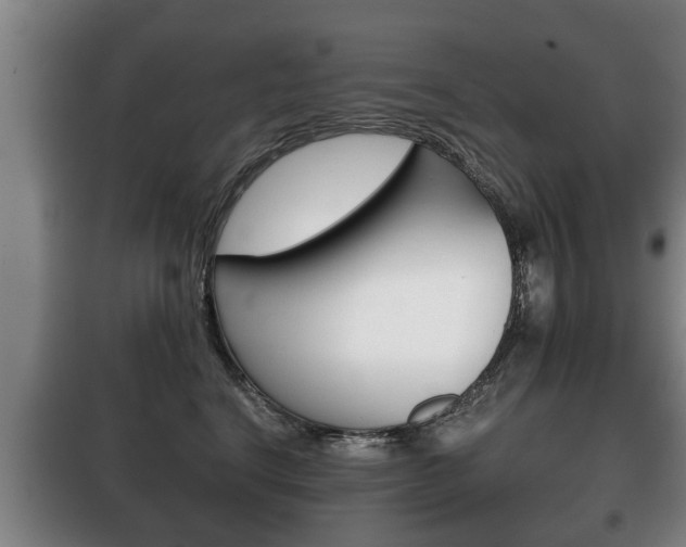 X0000100410664200806060926