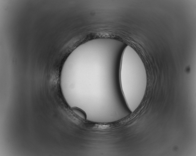 X0000100410665200806060926
