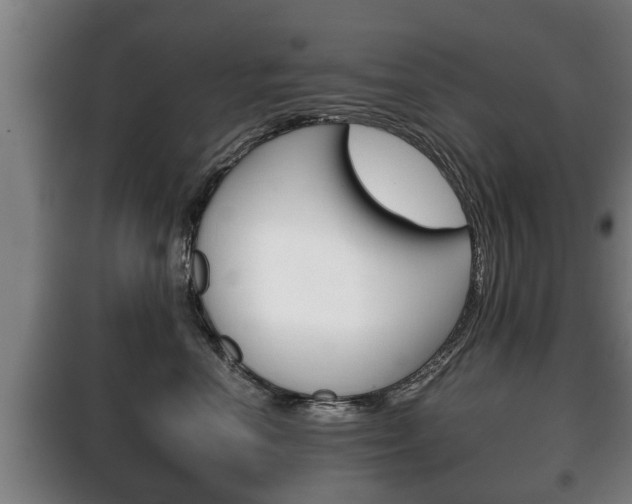 X0000100410666200806060926