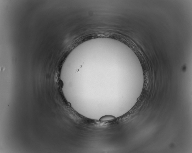 X0000100410667200806060926