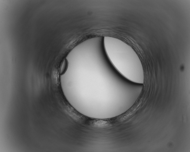 X0000100410669200806060926