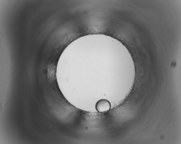 X0000100410672200806060926