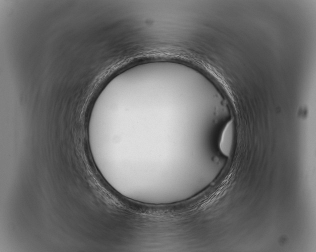 X0000100410673200806060926