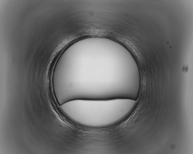 X0000100410674200806060926