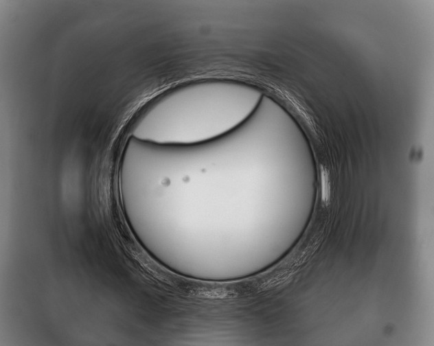 X0000100410675200806060926