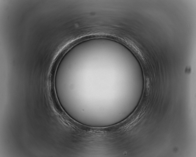 X0000100410676200806060926