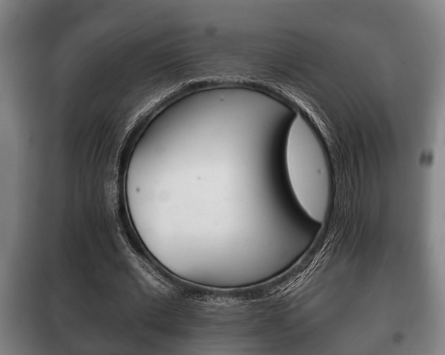 X0000100410677200806060926