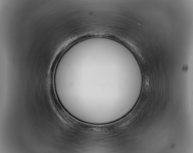 X0000100410678200806060926