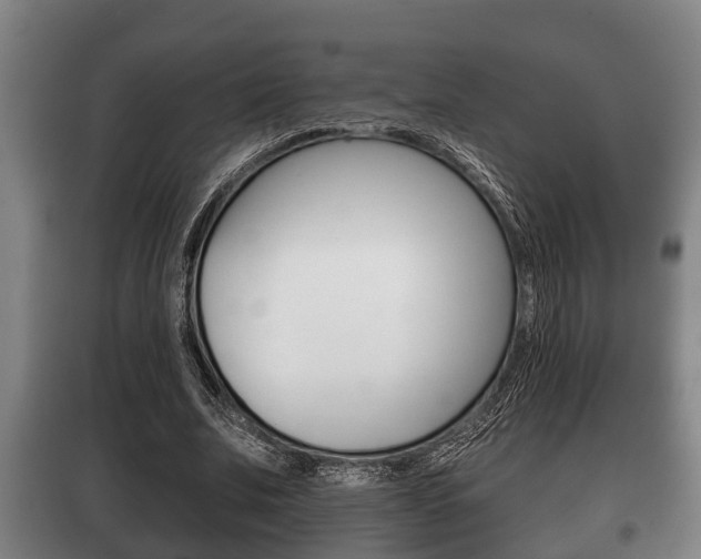 X0000100410679200806060926