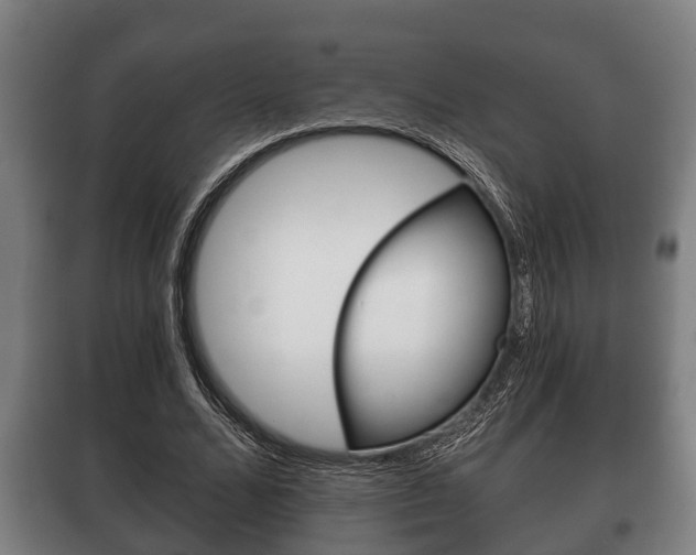 X0000100410680200806060925