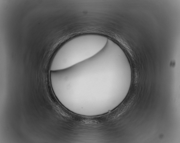 X0000100410681200806060925