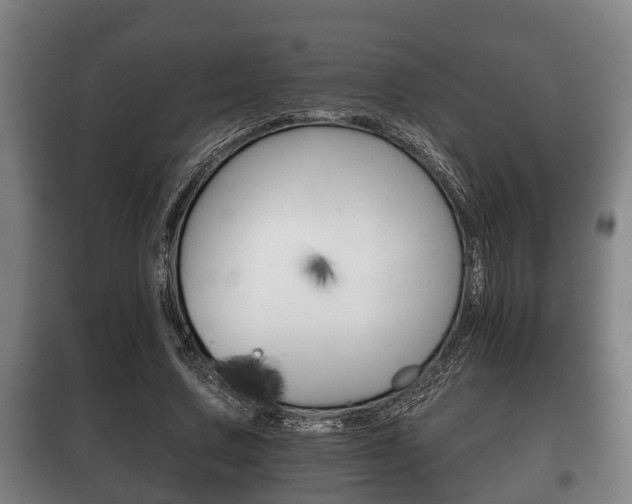 X0000100410683200806060925